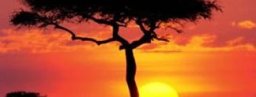 Wild Africa Travel Company Cardigan Village 1