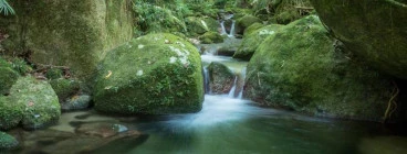 Mossman Gorge