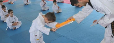 Thrive Taekwondo Belfield 1