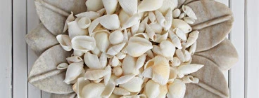 Shells & Starfish decorations