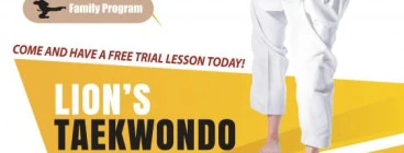 Lion's Taekwondo & Martial arts Academy North Parramatta 1