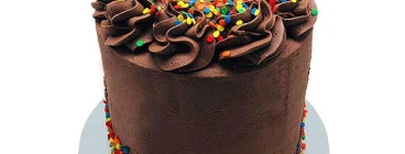 Chocolate on chocolate cake