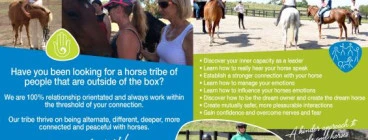 What we do at Holistic Equitation