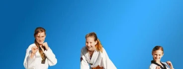 Pinnacle Taekwondo Martial Arts in Chester Hill Chester Hill 1