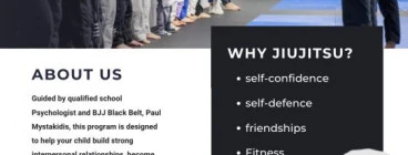 Why jiujitsu?