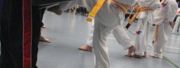 Matt Fiddes Martial Arts Brisbane Brisbane 1