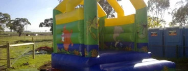 C and C Jumping Castles Airport West 1