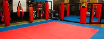 cage and training area