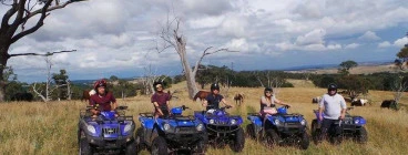 quad biking for adults & kids over 6 yrs old