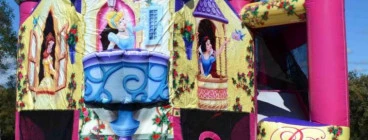 Disney Princess Backyard Combo with basketball hoop, stairs and slide