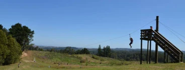 Flying Fox