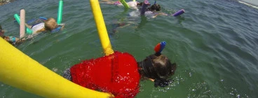 Manly Snorkel Kids Party