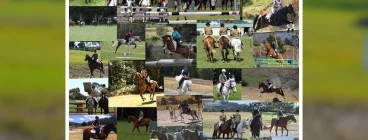 Birralee and Districts Pony Club Glengarry 1
