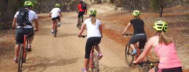 Leisurely Bunch Ride
