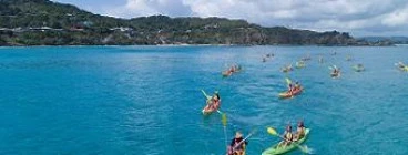 Paddling Cape Byron Marine Park