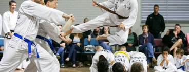 Rhee Taekwon-do OXLEY Oxley 1