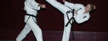 Side kick