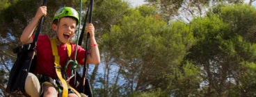 Flying Fox