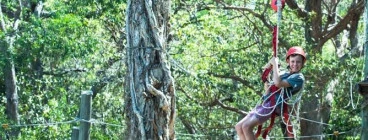 Flying fox fun