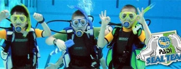 Academy of Scuba - Victoria Glen Iris 1