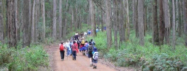 Rosanna Cubs - Scouts Australia Rosanna 1