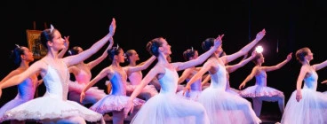 The Dance Co. Sydney (Woollahra Campus) Woollahra 1