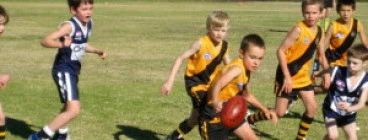 Pittwater Tigers Junior AFL Club Narrabeen 1