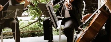 String Musicians Australia North Boambee Valley 1