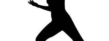 Our Tai Chi classes, available for teenagers through to elderly, can be tailored to meet indivdual or group needs. Contact me today to discuss your needs.