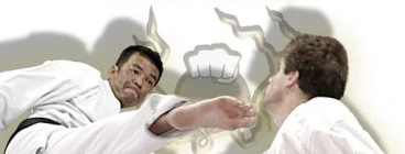 Curtin Karate Club