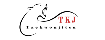 Taekwonjitsu Bentleigh East 1