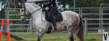 Majestic riding school (Accredited horse riding coach) Collette white Lawrence 1
