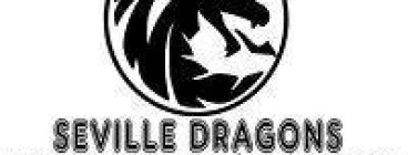 Seville Dragons Junior Basketball/Netball Club Inc. Armadale 1