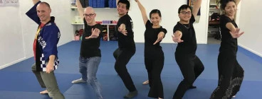 Martial Arts Gym Emerald 1