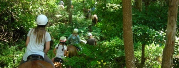 Riding through the forest on our overnight camp - out