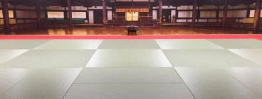 Downstairs dojo