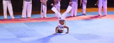 Martial Arts spectacular - whitlam centre