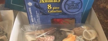 Ocean Discovery Kit