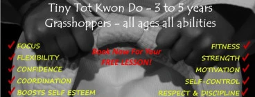 ilyo taekwondo Narooma 1