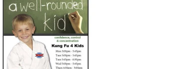 Tas Wing Chun Training Centre & Kung Fu 4 Kids Kingston 1