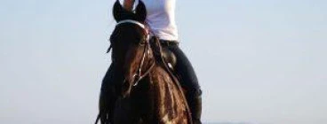 Horse Trail Riding Brisbane