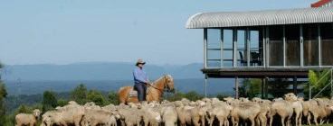 Stockman on horseback
