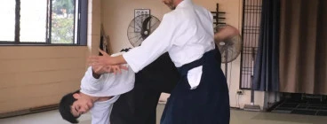 Matt Teale Sensei training with Miltos Teale