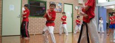 Taekwondo for Kids