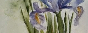 iris, watercolours