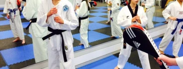 Shire Martial Arts Taren Point 1