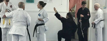 Castle Sensei in Action