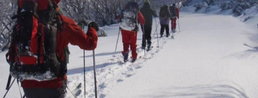 Halls Outdoor Education Gembrook 1