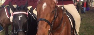 blacktown Pony club