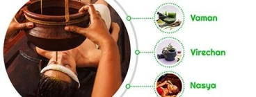 Ayur Healthcare Ayurveda Parramatta - Ayurveda Consultation - Panchakarma Detox Centre, Parramatta Parramatta 1